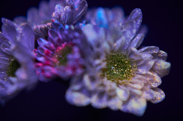 Flowers in the paint drops glow in the ultraviolet light. Natural beauty cosmetics