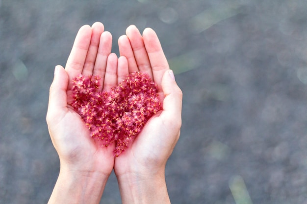 The flowers in the palm of the hand are arranged in a heart shape.