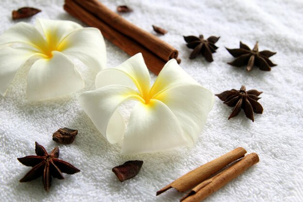 Flowers of plumeria with stars of anise and cinnamon sticks on the white background for spa theme