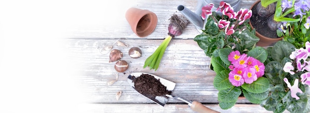 Flowers in pot and dirt in shovel on white wooden plank