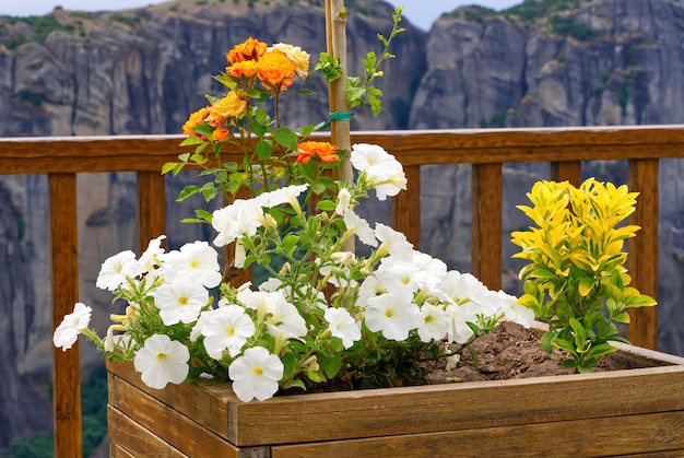 Flowers in pots in Meteora monastery courtyard Greece Mountainss and beautiful views