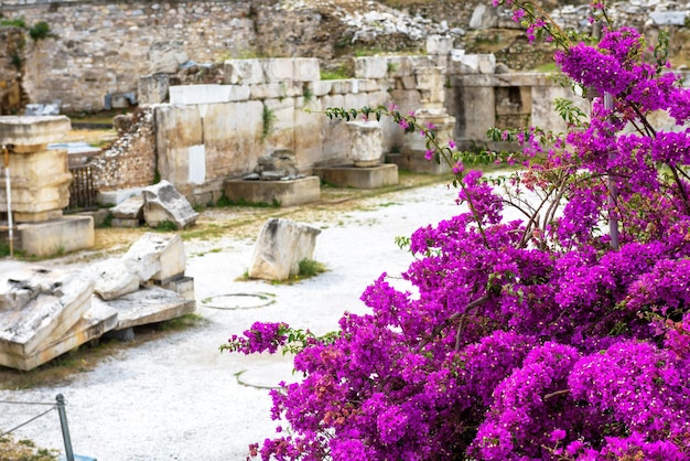 Flowers on the ruins of Library of Hadrian Athens