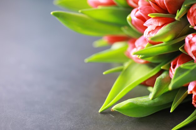 Flowers, spring holidays and home decor concept - Bouquet of beautiful tulips, floral background