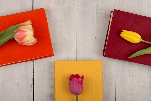 Flowers tulips and colored books on a white wooden table