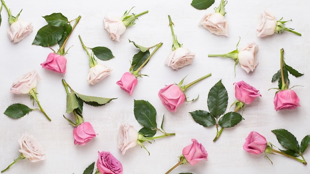 Flowers valentine day composition. Frame made of pink rose on gray background. Flat lay, top view, copy space.