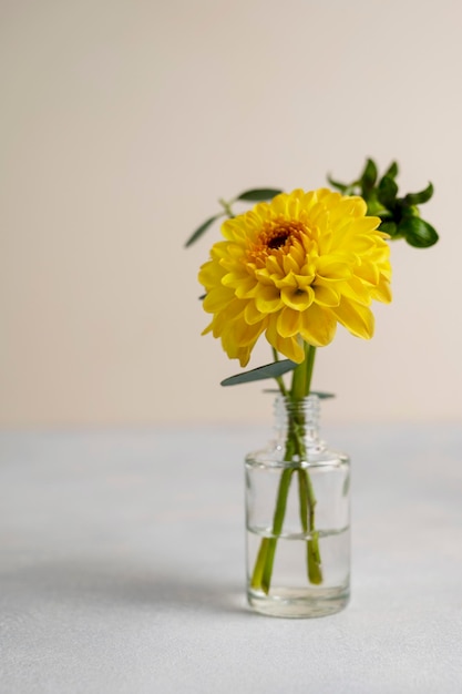 Flowers in a vase Colorful summer flower bouquet yellow dahlia flower greeting card