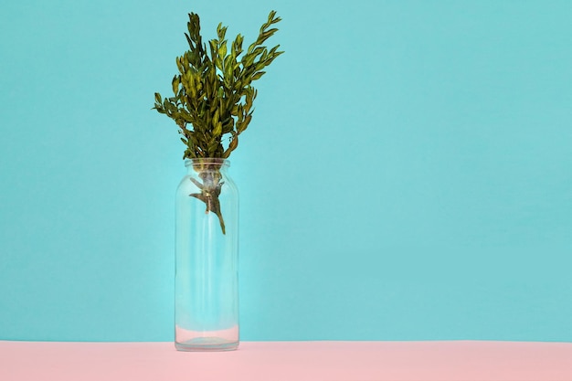 Flowers in a vase without water