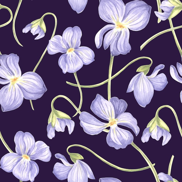 Flowers Violet Seamless pattern Dark background Watercolor garden pansy Hand drawn illustration spring blossom Meadow wild Viola Botanical template for wallpaper scrapbooking wrapping textile