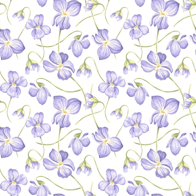 Flowers Violet Seamless pattern Watercolor garden pansy Hand drawn illustration of spring blossom Meadow wild plant Viola Botanical drawing template for wallpaper scrapbooking wrapping textile