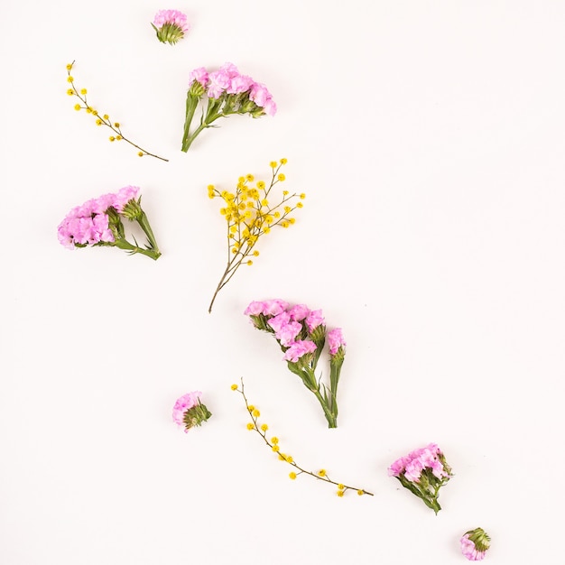 Flowers on a white background - hello spring and hello summer