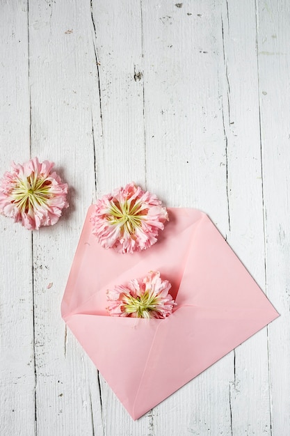 Flowers on white background