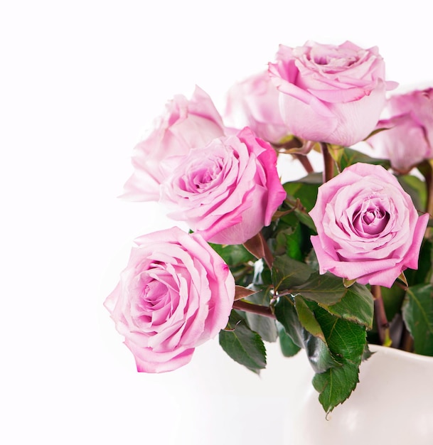 Flowers with clipping path side view Beautiful pink roses on stem with leaves isolated on white background Natur object for design to Valentines Day mothers day anniversary