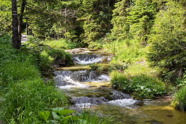 A flowing river between grass on rocks in a nature trail