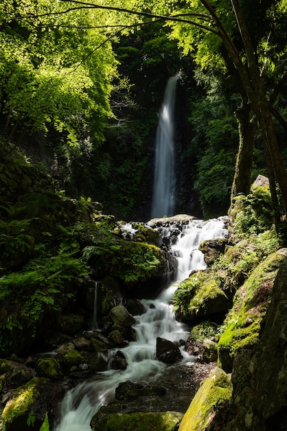 Flowing river between rocks and green vegetation, sacred waterfall in the background. Japan.