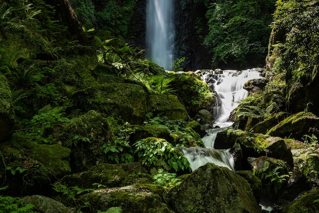 Flowing river between rocks and green vegetation, waterfall in the background. Japan.