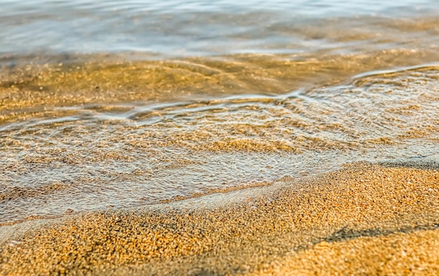 Flowing wave on the sea sandy beach at sunset. Summer vacation background and coastal nature concept