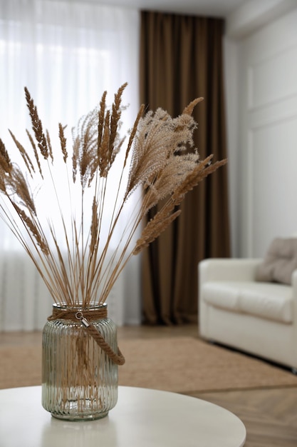 Fluffy reed plumes on white table in living room interior