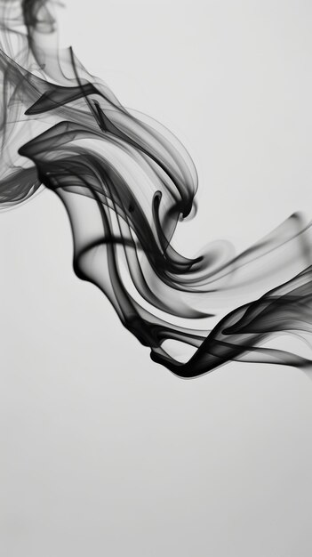 Fluid strokes of motion captured in a monochromatic image black and white art