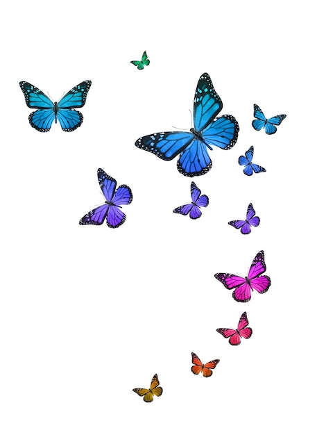 Flying colored tropical butterflies on a white background. template for design