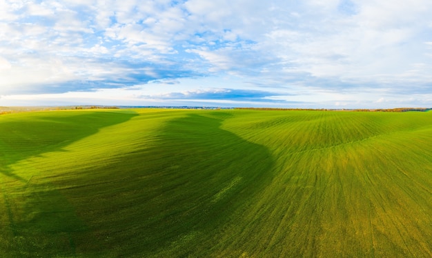 Flying over a field of growing wheat