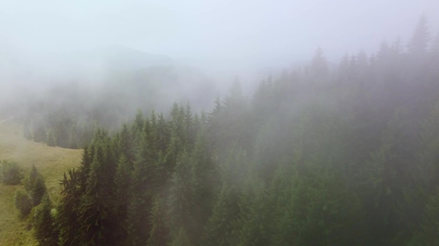 Flying over the green slopes of the Carpathian mountains in the clouds