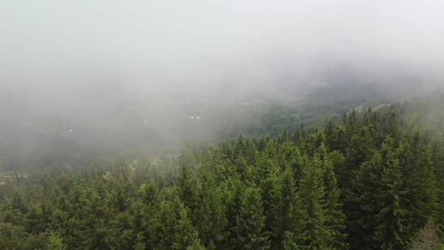 Flying over the green slopes of the Carpathian mountains in the clouds