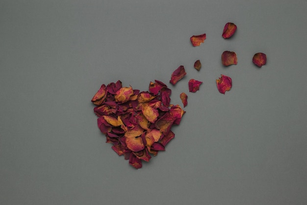 A flying heart of dried red rose petals. The concept of a romantic relationship.