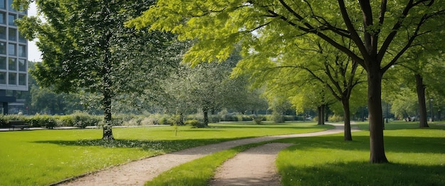 Photo flying poplar fluff dances in a serene summer city park enhancing natures beauty