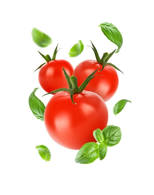 Flying tomatoes and basil leaves isolated on white background Red tomatoes levitate on white background Mockup for advertising or product packaging design Perfect retouched