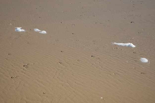 Foam on sea beach low tide on sand coast