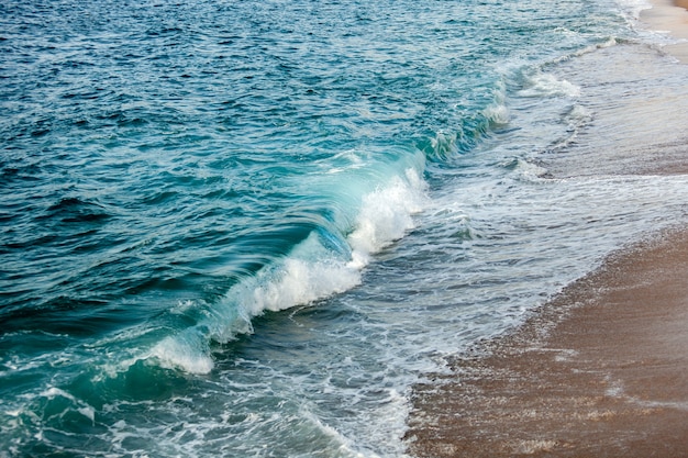 Foamed waves breaking in the beach