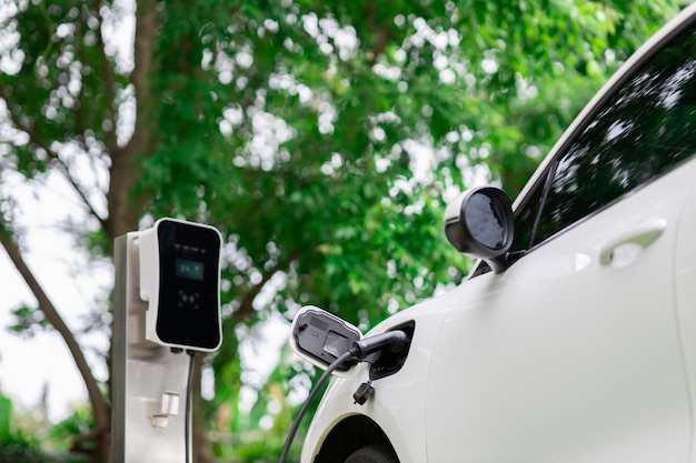 Focus closeup EV car and charger with blur background for progressive concept