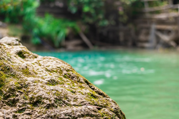 Focus image, blurred stone, green pool