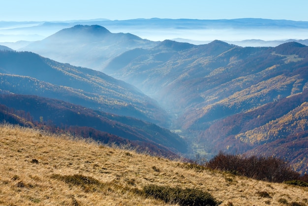 Fog in autumn Carpathian and colorful trees on slope.