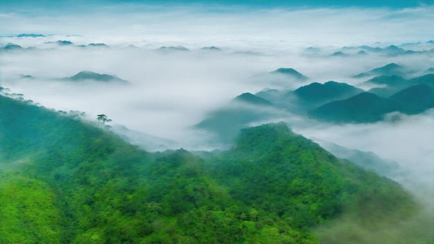 Fog and cloud mountain in the jungle landscape