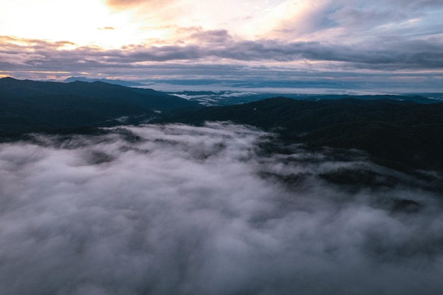 Fog and clouds in the morning in the forest