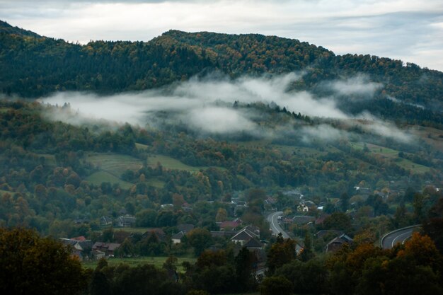 Fog and clouds in the mountain forest