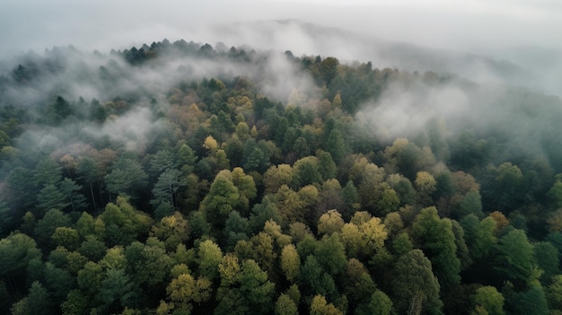 Fog in forest aerial view Generative AI