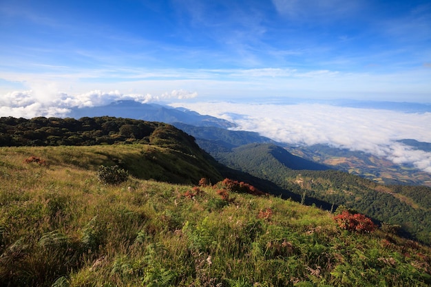 Fog over the mountain at Doi Inthanon national park Thailand