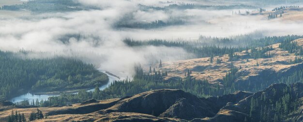 Fog in a mountain valley panoramic