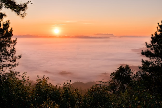 Fog in mountains. Fantasy and nature landscape. Nature conceptual image.