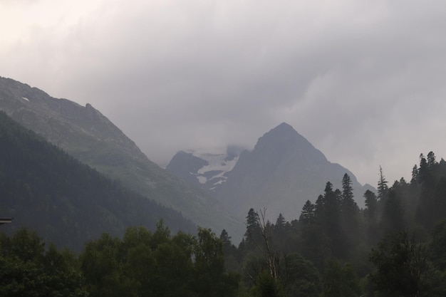 Fog in the mountains, green forest and coniferous trees, slopes and ravines, landscape at dusk