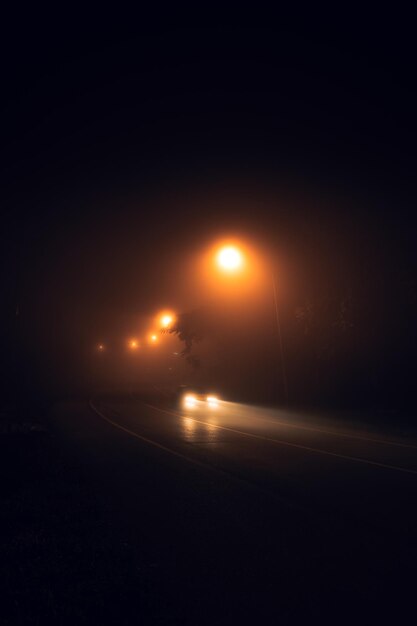 Fog at night road and orange trees