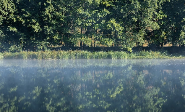 Photo fog over the river at dawn in the forest. trees by the river at dawn. branches of trees over water in fog.