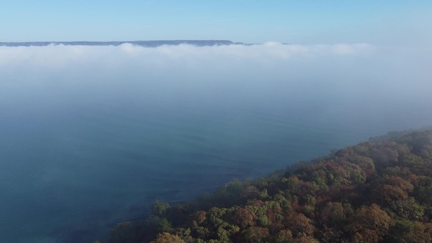 Fog over the sea and forest on the shore aerial view