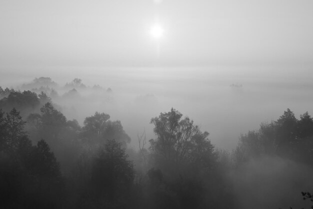 Photo fog over trees and hills natural autumn background