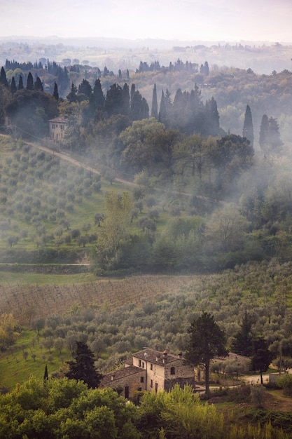 Fog and typical Tuscan landscape - a view of a villa on a hill, a cypress alley and a valley with vineyards, province of Siena. Tuscany, Italy