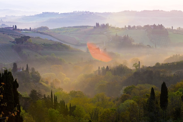 Fog and typical Tuscan landscape