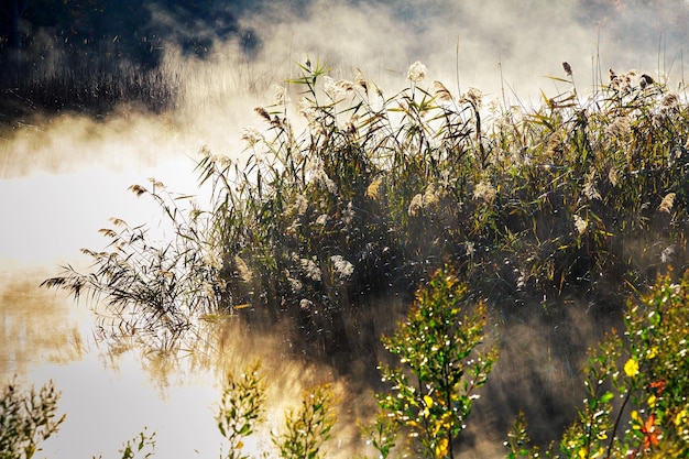 Fog with sun light at frosty morning on the river