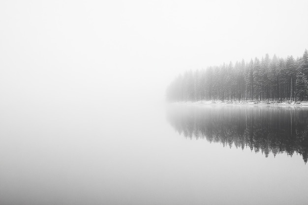 Photo fogcovered lake with soft reflections